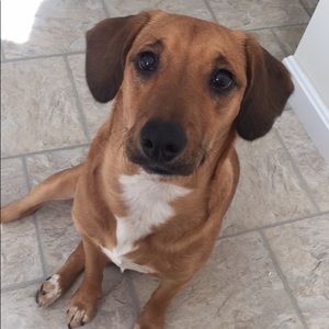 Meet your Posher, Jill